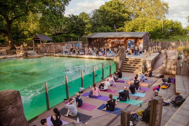 East of Eden, one of the City’s top yoga and Pilates studios, is hosting Yoga at Penguin Beach this summer
