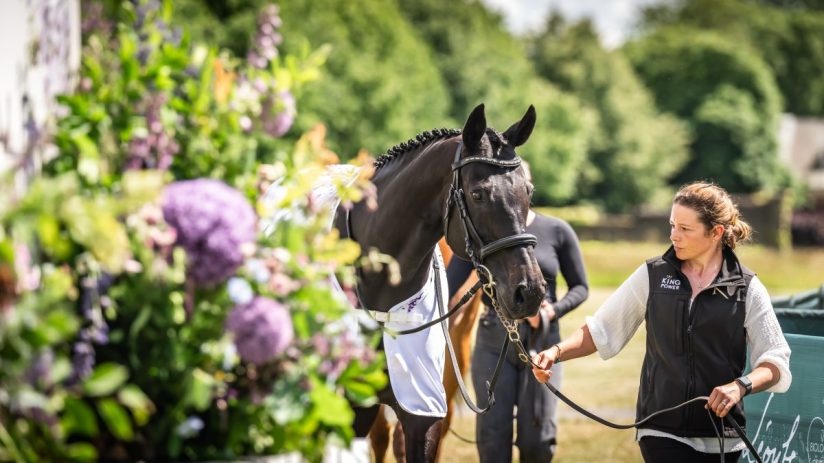 The Goffs London Sale has in recent years become the most exclusive curtain raiser in town as well as one of the most prestigious sales of thoroughbreds in the world