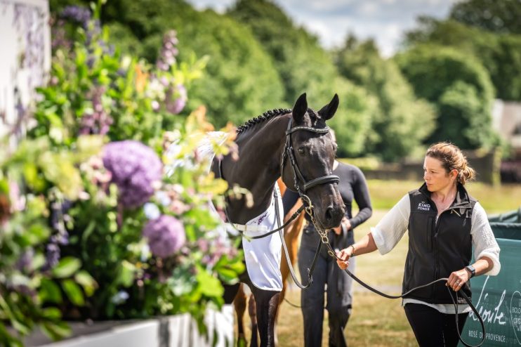 The Goffs London Sale has in recent years become the most exclusive curtain raiser in town as well as one of the most prestigious sales of thoroughbreds in the world
