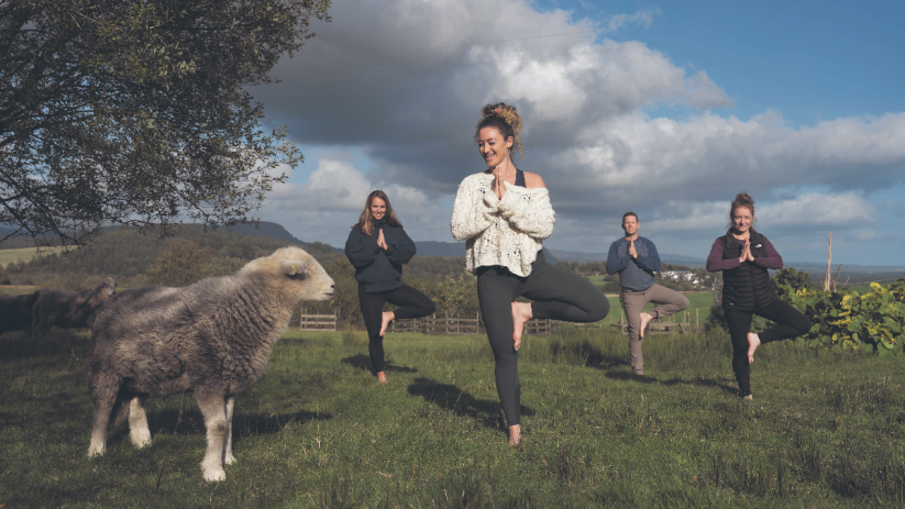 Meditate with sheep at this Scottish wellness retreat