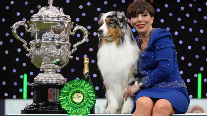 The Kennel Club, the organisation behind Crufts dog show, said the cost of putting on events has skyrocketed.