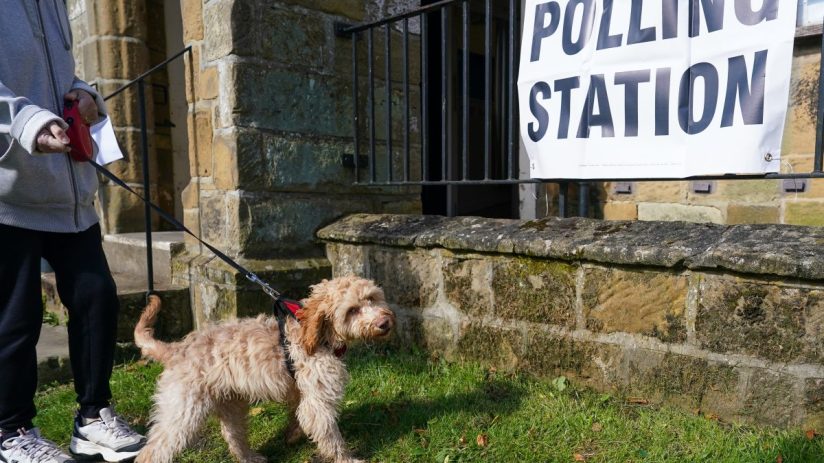 Dogs at polling stations are a feature of UK elections