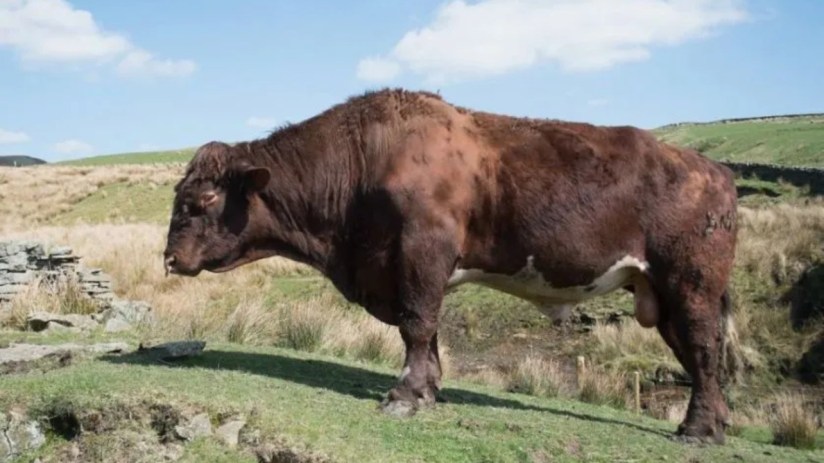 London-listed Genus said in a trading update that its pre-tax profit was set to sit somewhere between £58m and £61