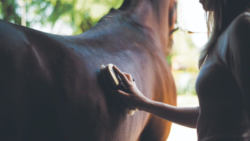 What horse therapy taught me