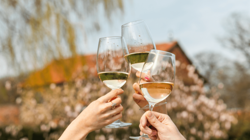 Virgin Wines has returned to profit after a tough period of trading