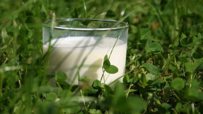 Arla Foods has warned that the price of milk is going to rise.
