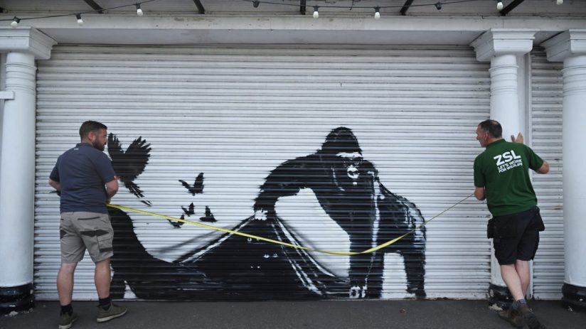 Banksy's ninth animal-themed artwork in nine days appeared on a wall at London Zoo on Tuesday. (Photo by Leon Neal/Getty Images)