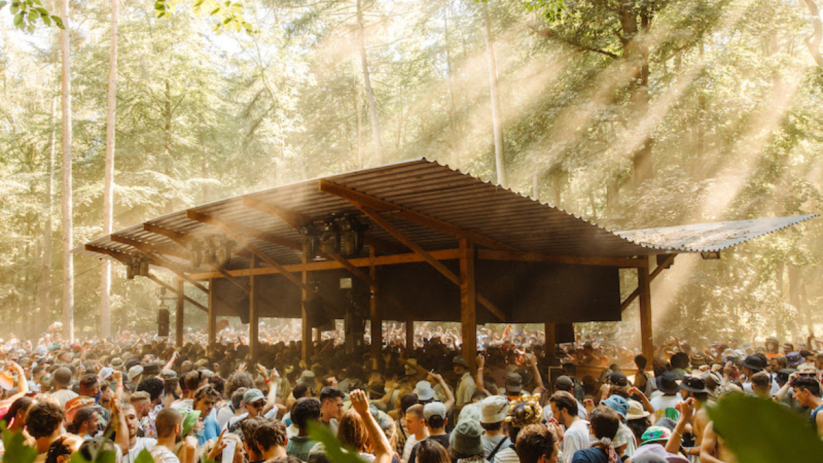 Houghton festival returns in 2015 (Photo: Jake Davis)