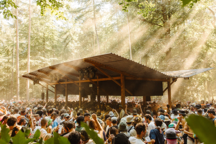 Houghton festival returns in 2015 (Photo: Jake Davis)