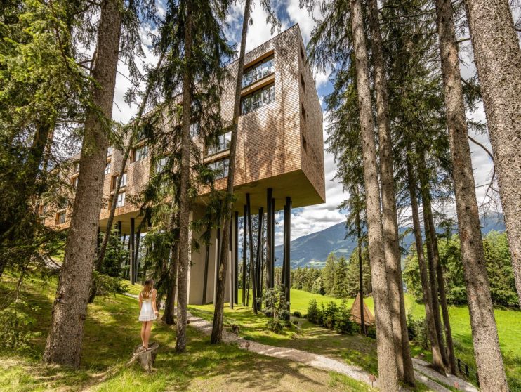 My Arbor is a five-star wellness tree hotel in the Italian Dolomites