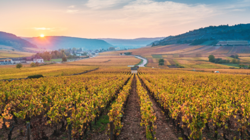 Kent and Essex have benefitted from a changing cliamte
