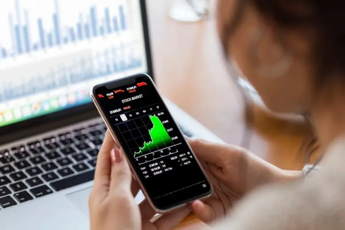 A robo-adviser uses algorithms that analyse investors' answers to pre-set questions, then suggests investments to match.