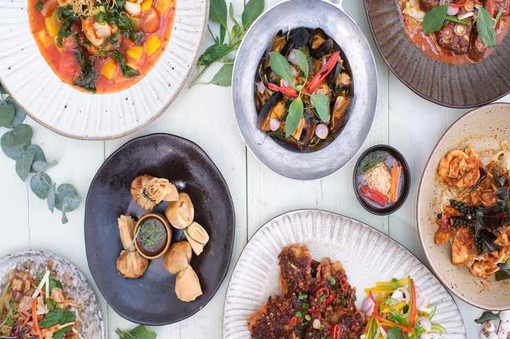 Giggling Squid has returned to the black.