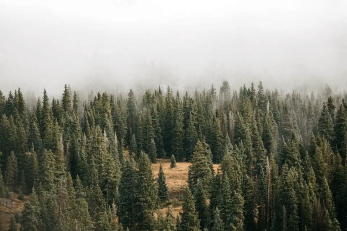 The strong performance of oil and gas firms after the war in Ukraine and regulatory issues have made investors question the ESG label in recent years.