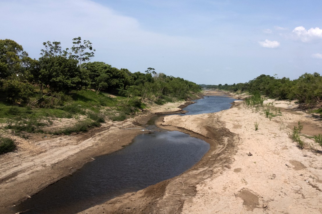 Climate change is affecting the Amazon rainforest (Photo by Bruno Zanardo/Getty Images)