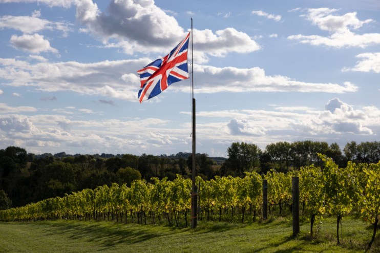 The British wine industry hope Eurostar reinstates its Kent services. (Photo by Dan Kitwood/Getty Images)