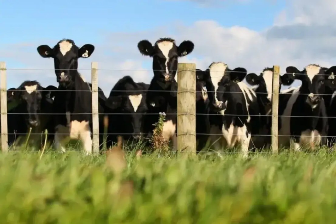 The government is being urged to “do the right thing” over its plan to bring in inheritance tax for farm businesses worth more than £1m, following months of protests by farmers.