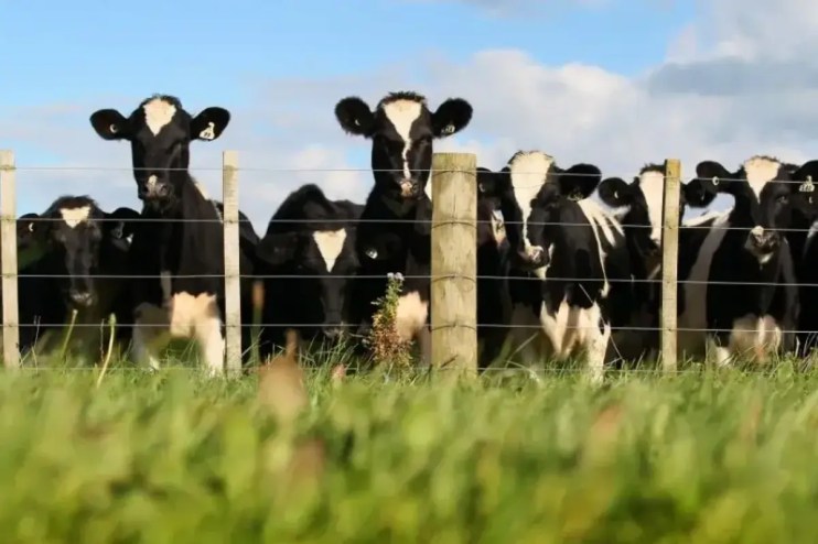 The government is being urged to “do the right thing” over its plan to bring in inheritance tax for farm businesses worth more than £1m, following months of protests by farmers.