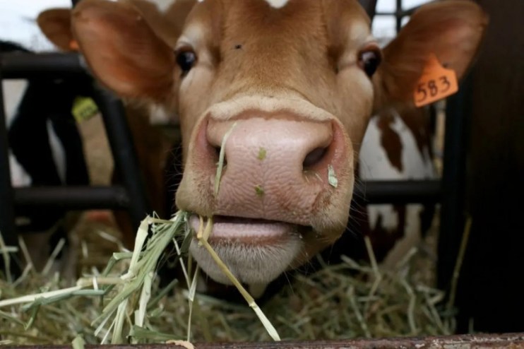 Farmers have w
