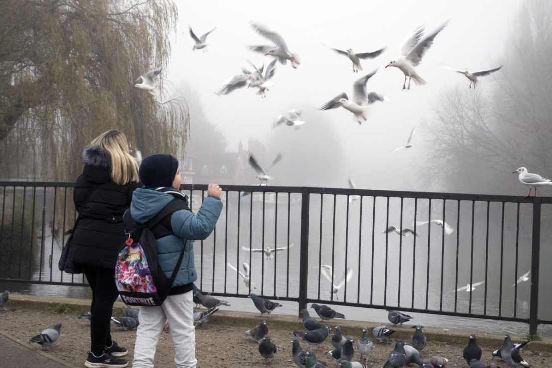 Parents have an array of financial products to choose from (Photo by: Planet One Photos/UCG/Universal Images Group via Getty Images)