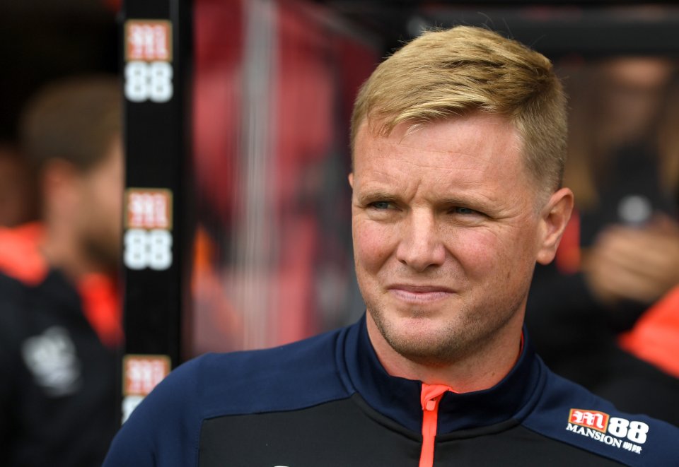 AFC Bournemouth v Cardiff City - Premier League