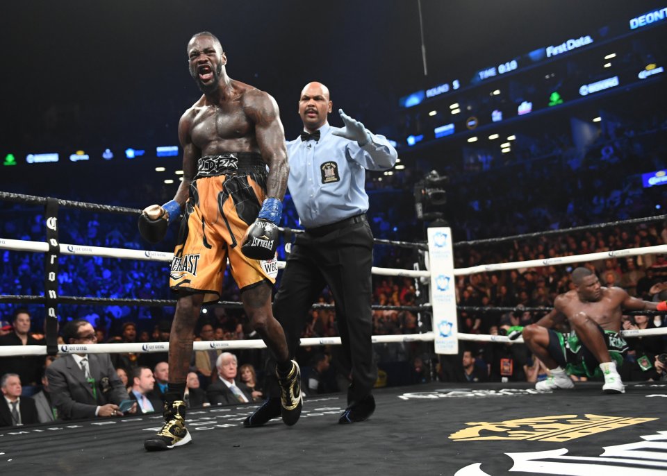 TOPSHOT-BOXING-WBC-USA-CUB-HEAVY